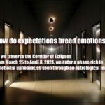 How do expectations breed emotions?