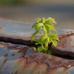 Authenticity of persona and belief— trailblazing a path to greatness.